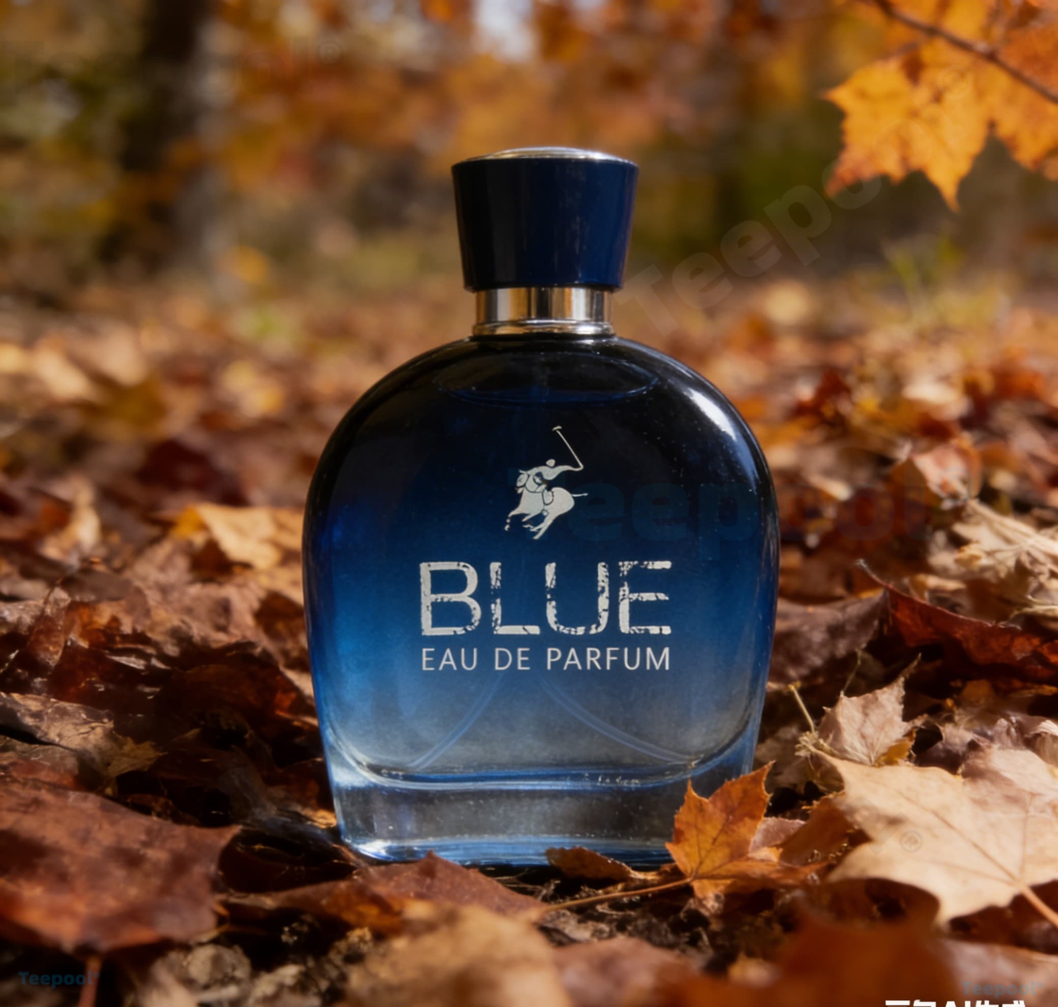 Fragrance Perfume Spray - perfume/fragrance，Glamour Men Perfume, Pheromone Perfume, Feromonas,
