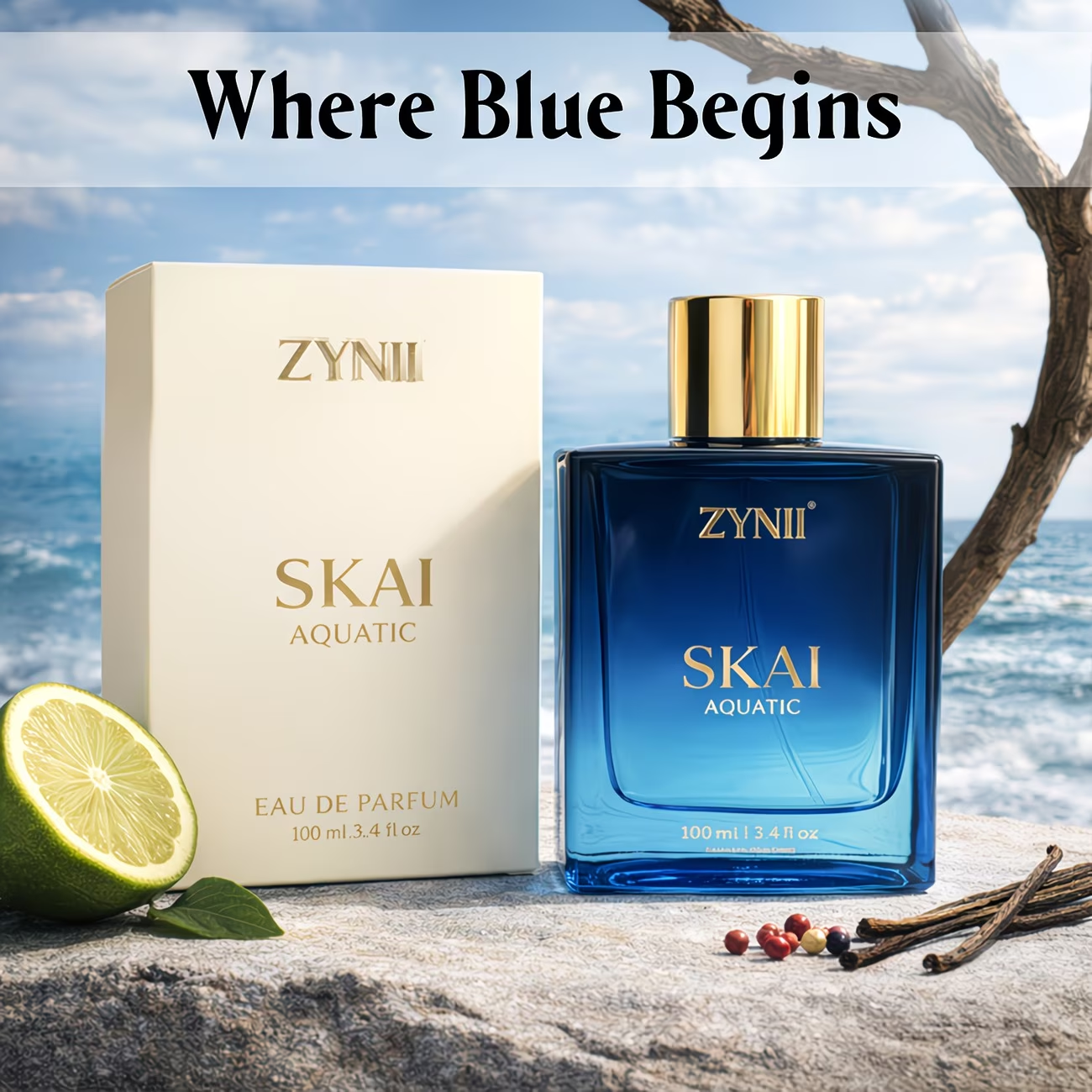 100ml Men’s Aquatic Perfume Sp - Fragrance Perfume Spray recensie en prijs