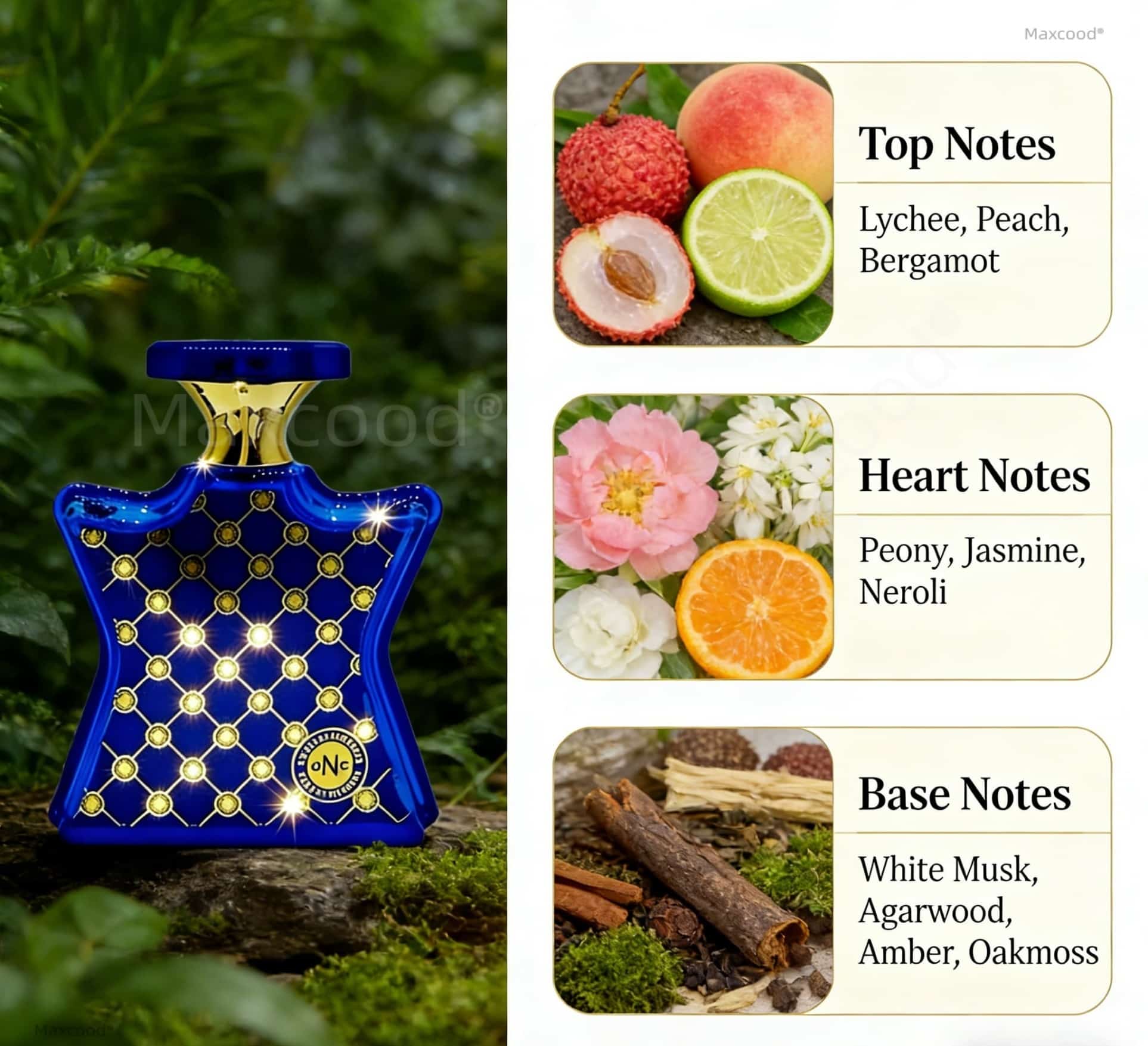 Citrus and floral Perfume Long - Perfume Fragrance For Girls recensie en prijs