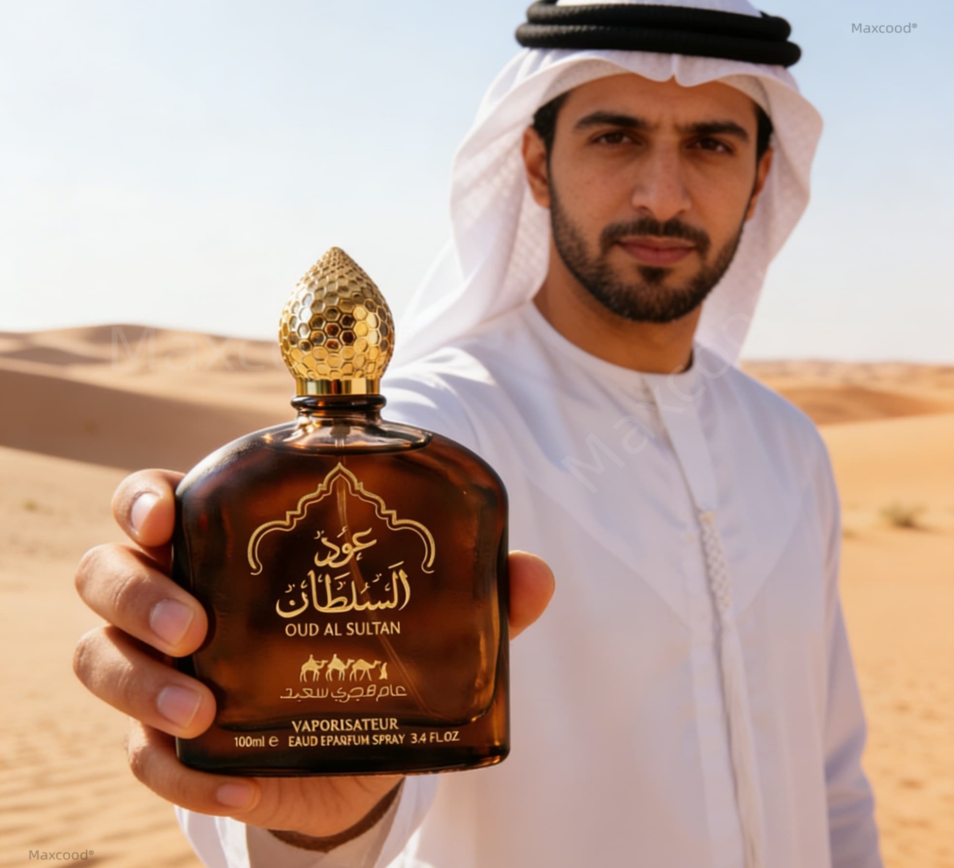 Men arabian Perfume 3.4fl.oz   - Perfume Long Fragrance recensie en prijs