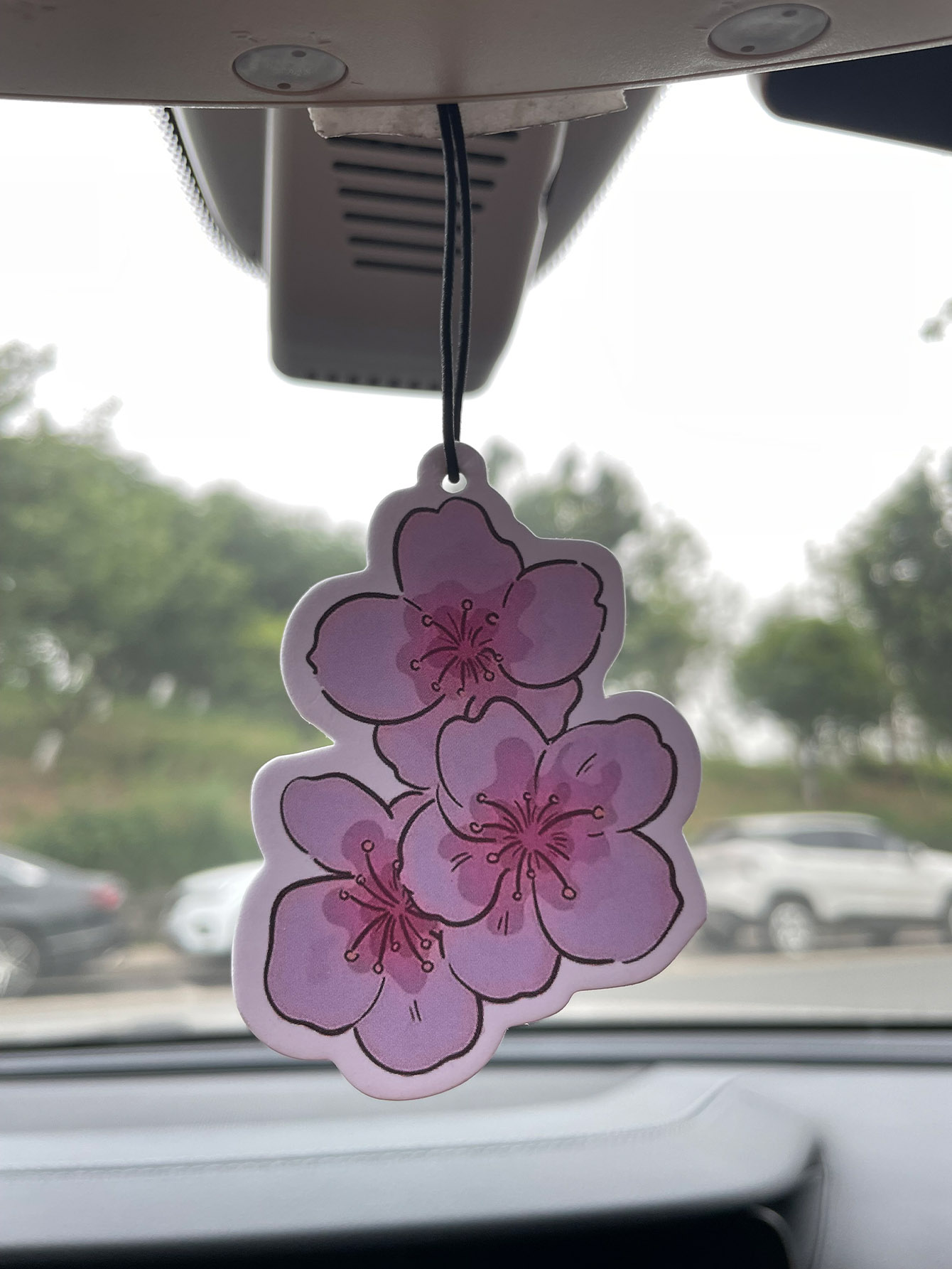 Sakura/Freesia Fresh Scent Fiv - Perfume Room Fragrance recensie en prijs